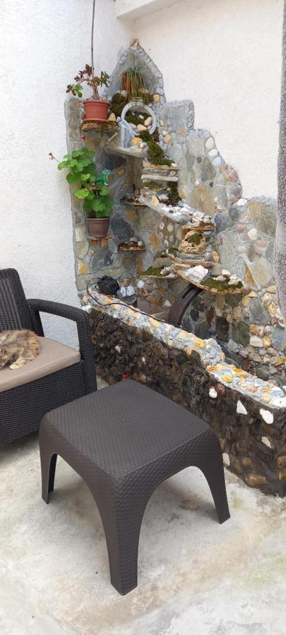 Casa De Vacanta Bucuria Marii Constanţa Esterno foto